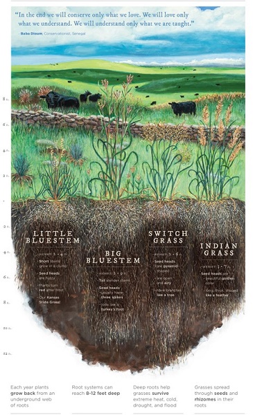 Flint Hills Maps in the Schools Project, Elementary Illustration